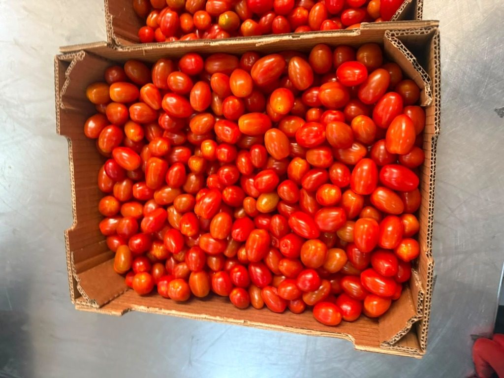 Plum Cherry Tomatoes
